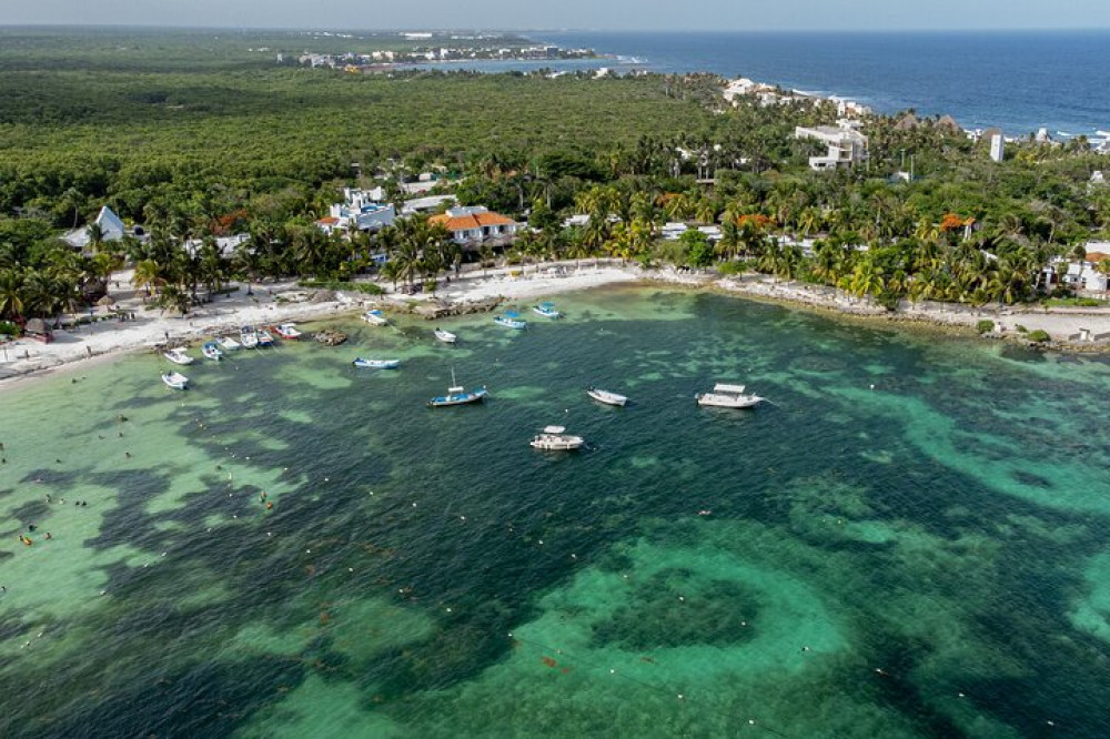 Private Half Day Tour In Cenote Cave And Swimming With Turtles