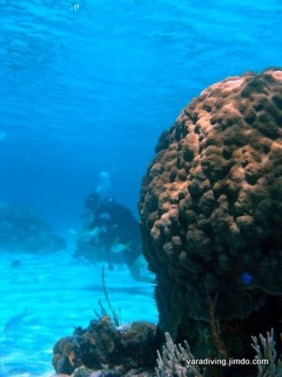 Diving - Bacunayagua from Havana