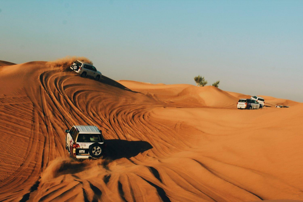 Morning Desert Safari