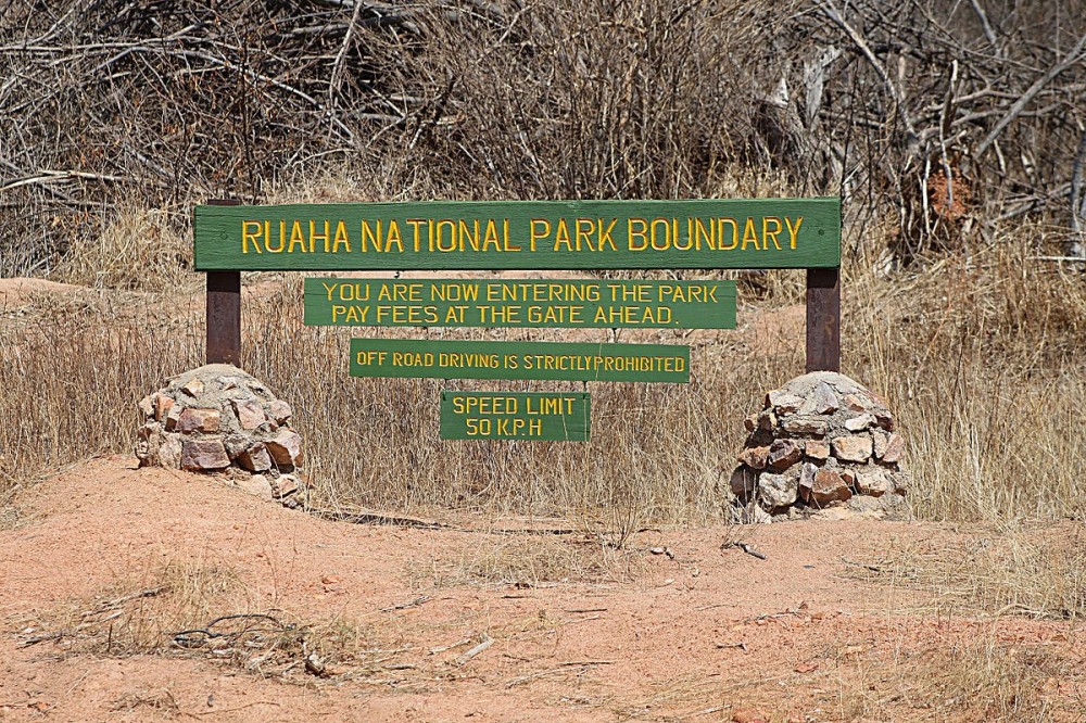 Ruaha National Park Sights & Attractions - Project Expedition