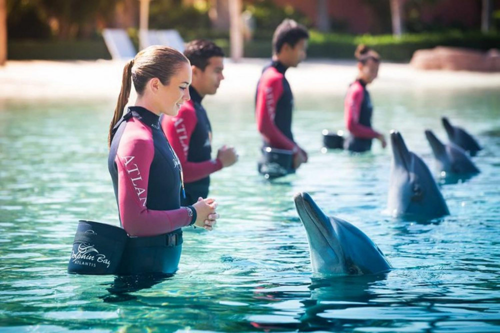 Dolphin Bay Atlantis in Dubai