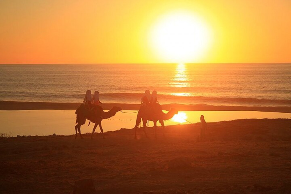 Sunset Camel Ride and ATV Combo Adventure in Los Cabos