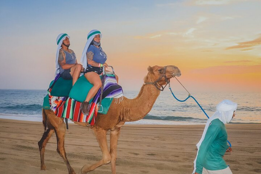 Sunset Camel Ride and ATV Combo Adventure in Los Cabos - Cabo San Lucas ...