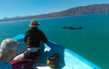 Next Experience Travel10