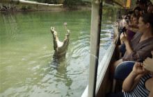 Outback Tasting Adventures3