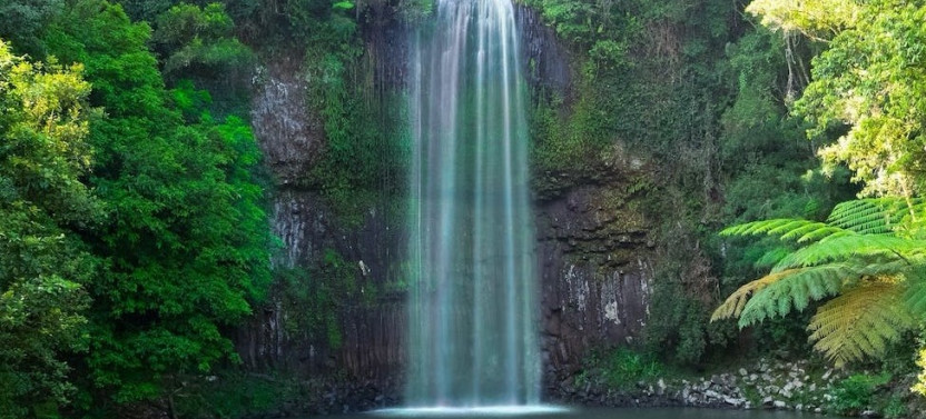 Atherton Tablelands Private Day Tour Luxury Charter