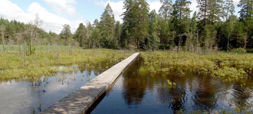 Self-Guided Hiking in the Natural Areas Surrounding Stockholm City