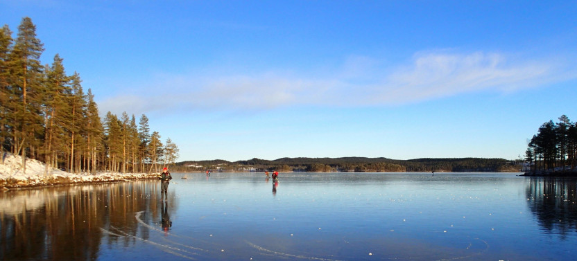 A Day On The Ice - Guided  Ice Skating Tour