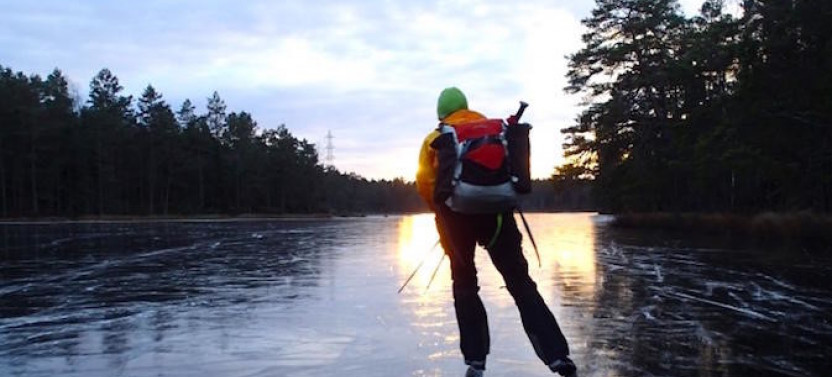 A Day On The Ice - Guided  Ice Skating Tour