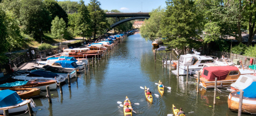 Stockholm City Evening Kayak Tour with Swedish Midsummer Meal