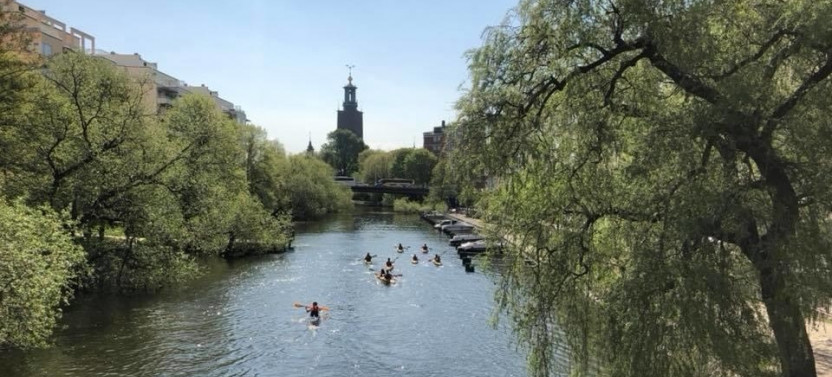 Stockholm City Evening Kayak Tour with Swedish Midsummer Meal
