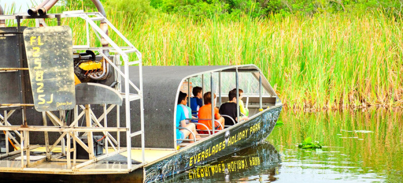Everglades Tour + Star Island Cruise (Combo)