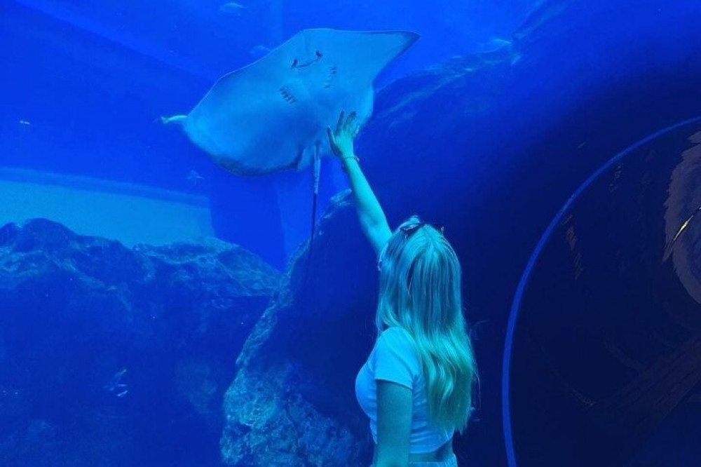 Dubai Aquarium And Underwater Zoo