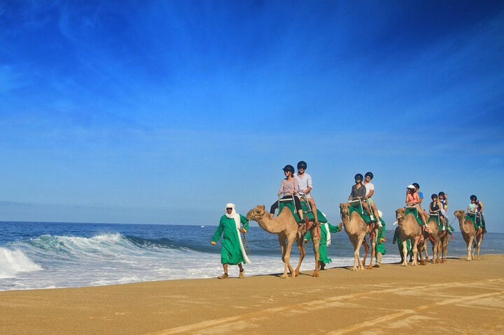 Camel Ride On The Beach At Cabo - Cabo San Lucas | Project Expedition