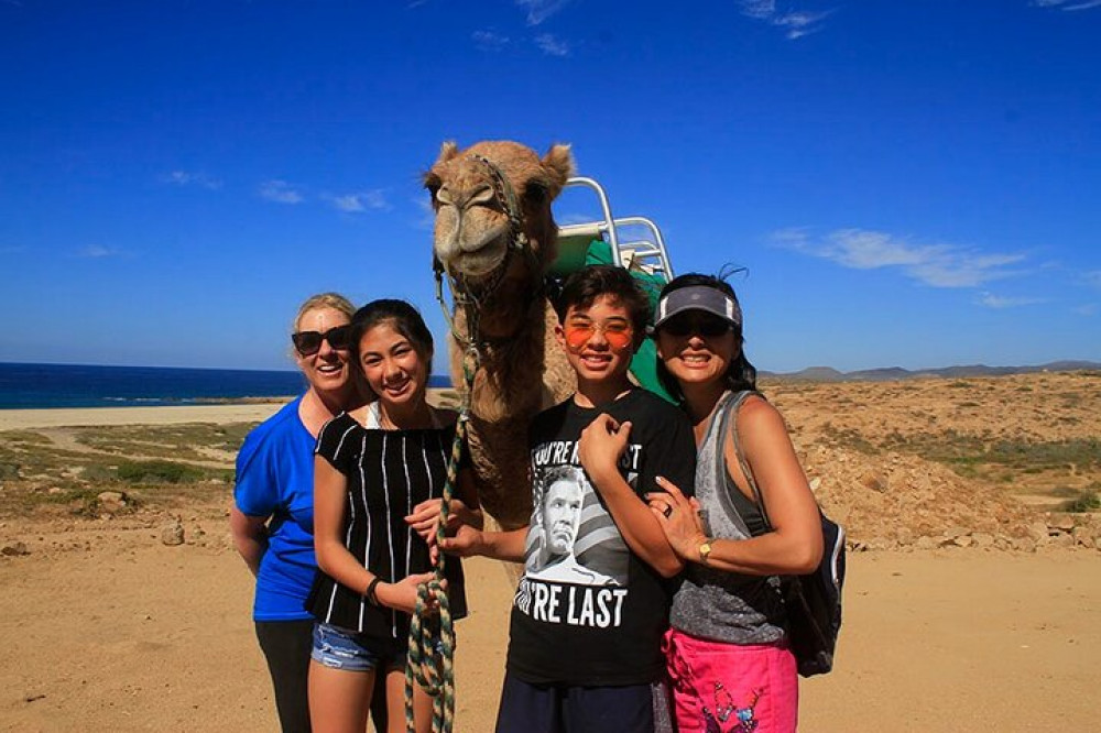 Camel Ride On The Beach At Cabo - Cabo San Lucas | Project Expedition