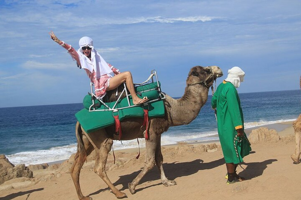Camel Ride On The Beach At Cabo - Cabo San Lucas | Project Expedition