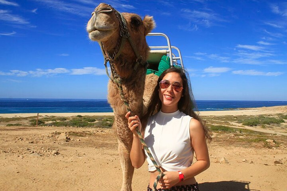 Camel Ride On The Beach At Cabo - Cabo San Lucas | Project Expedition