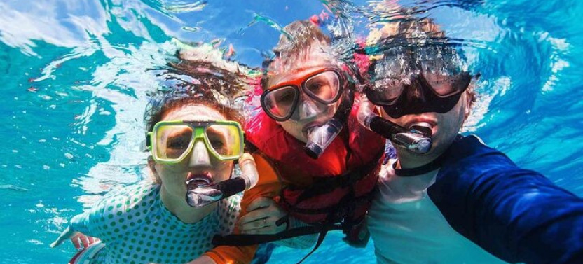 Cayman Adventure: Starfish Point, Stingray City and Coral Gardens