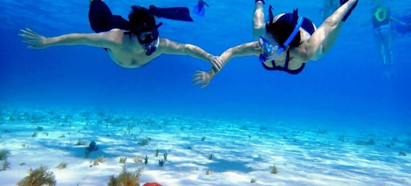 Cayman Adventure: Starfish Point, Stingray City and Coral Gardens