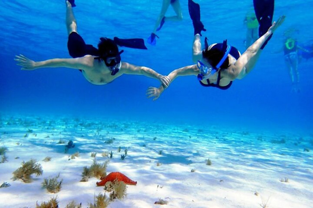 Cayman Adventure: Starfish Point, Stingray City and Coral Gardens