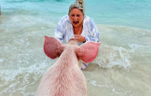 Paradise Keepsakes Ltd. T/A Da Pig Beach7