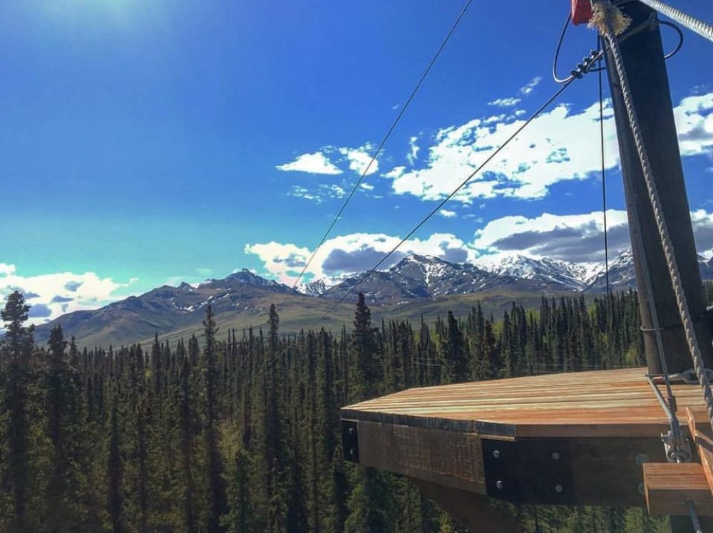 Denali Park Zipline