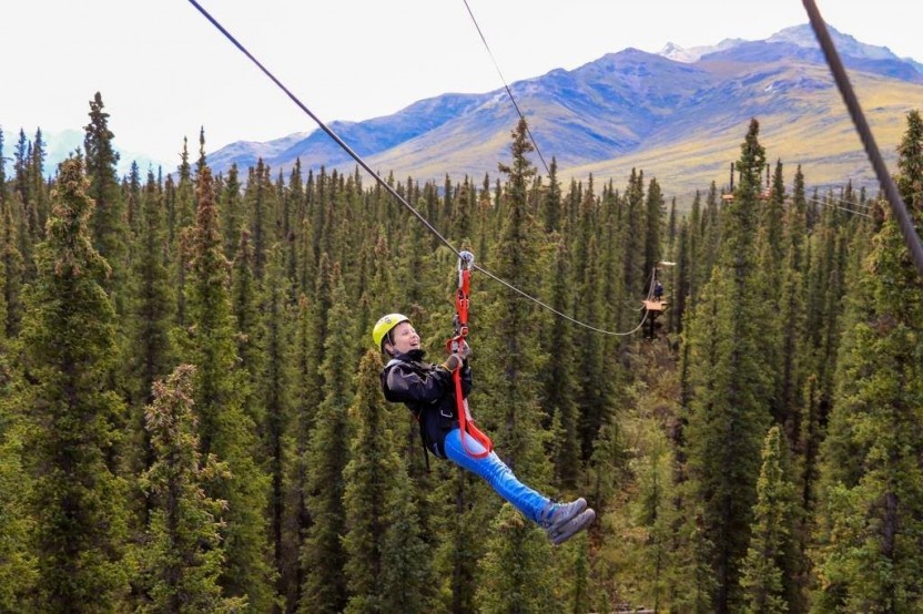 Denali Park Zipline Adventure