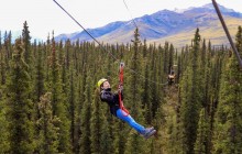 Denali Park Zipline1