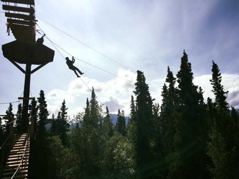 Denali Park Zipline Adventure