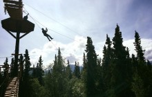 Denali Park Zipline3