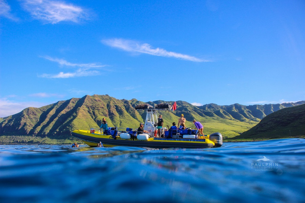 Dolphin Excursion and Snorkeling in Oahu Honolulu Project Expedition
