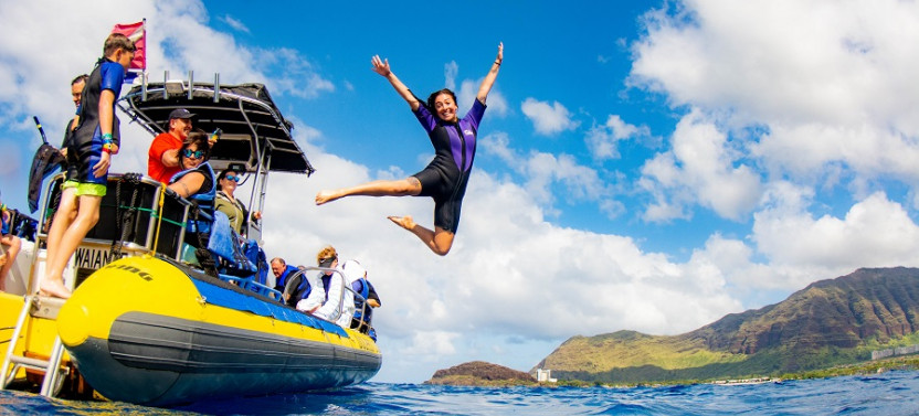 Dolphin Excursion and Snorkeling in Oahu