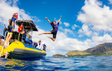 Dolphin Excursion and Snorkeling in Oahu