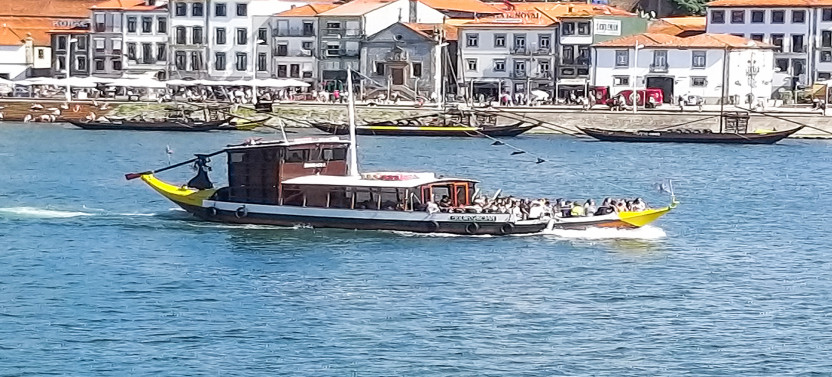 Porto: Private Half-Day Morning Tour with Viewpoints