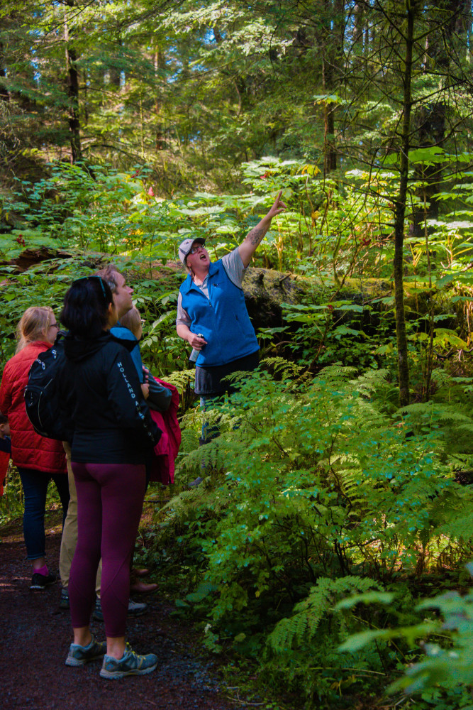 Shore Excursion: Premium Sitka Scenic Tour - Private SUV