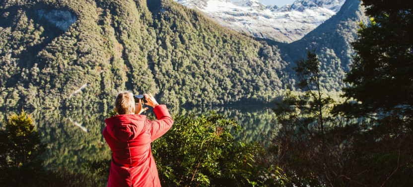6:30 am: Milford Sound Glass Top Bus Tour & Nature Cruise w. Picnic Lunch