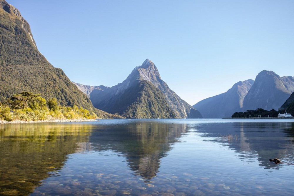 7:30 am: Milford Sound Glass Top Bus Tour & Nature Cruise w. Picnic Lunch