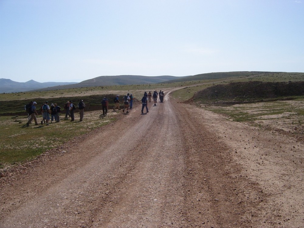 Judaean Desert