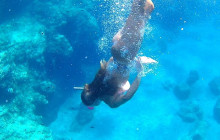 MareandMore6