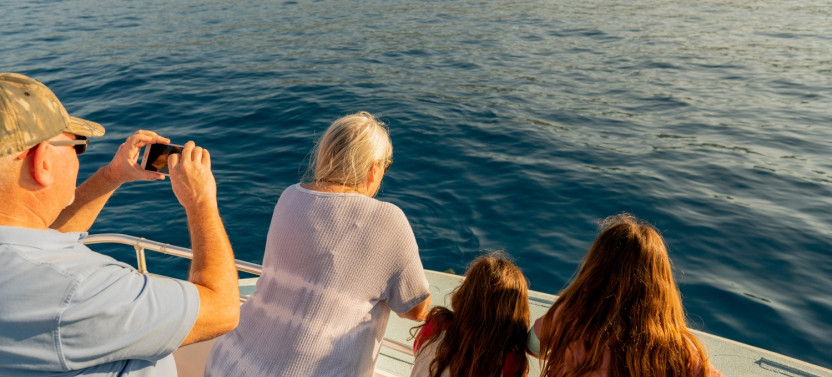 Whale Watching Cruise
