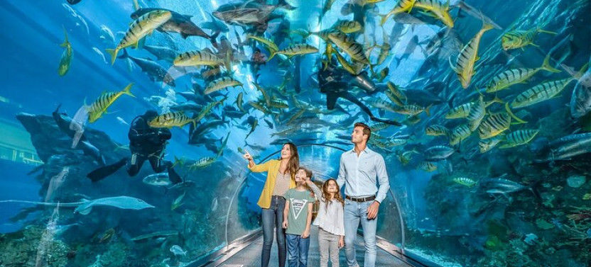 Dubai Aquarium and Underwater Zoo Explorer Tickets