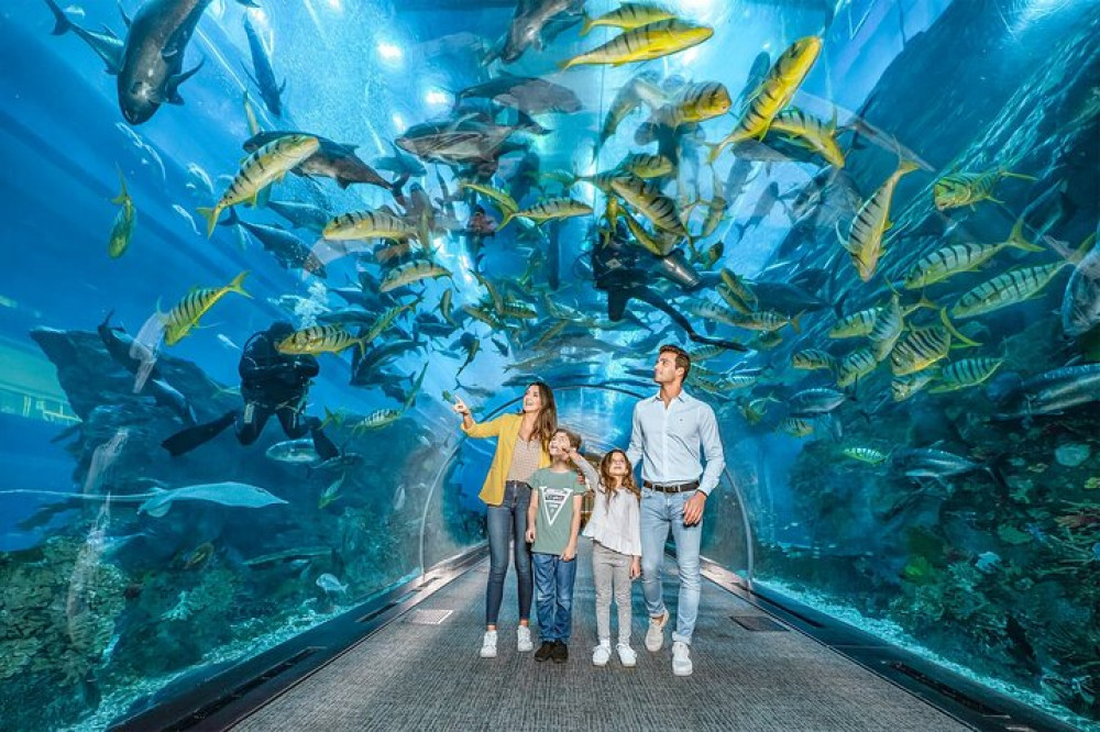 Dubai Aquarium and Underwater Zoo Explorer Tickets