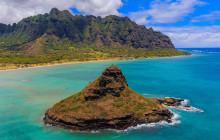 Hawaii Turtle Tours4