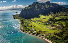 Hawaii Turtle Tours8