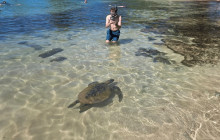 Hawaii Turtle Tours5