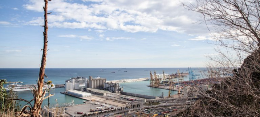 Montjuïc Walking Tour: The Magical Side of Barcelona