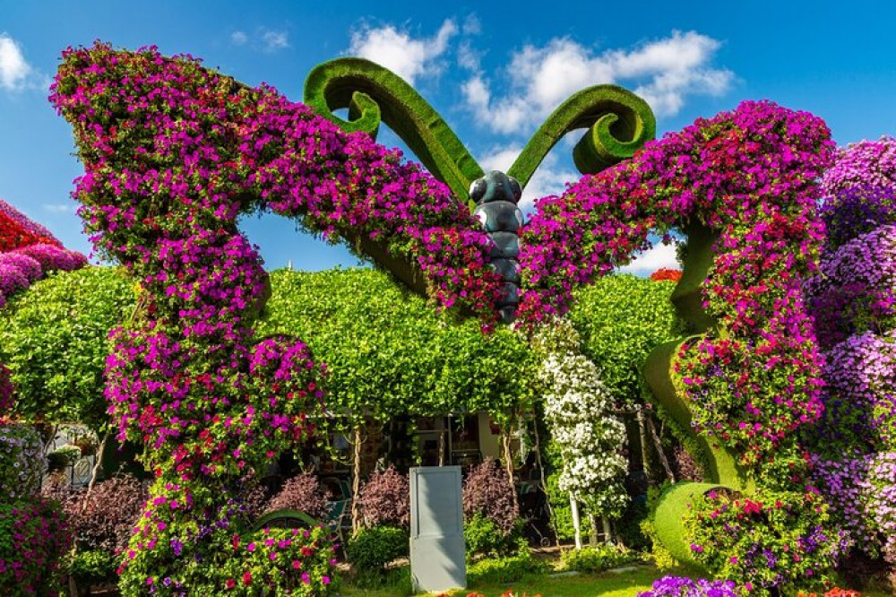 Private Dubai Miracle Garden and Burj Khalifa Tour with Tickets