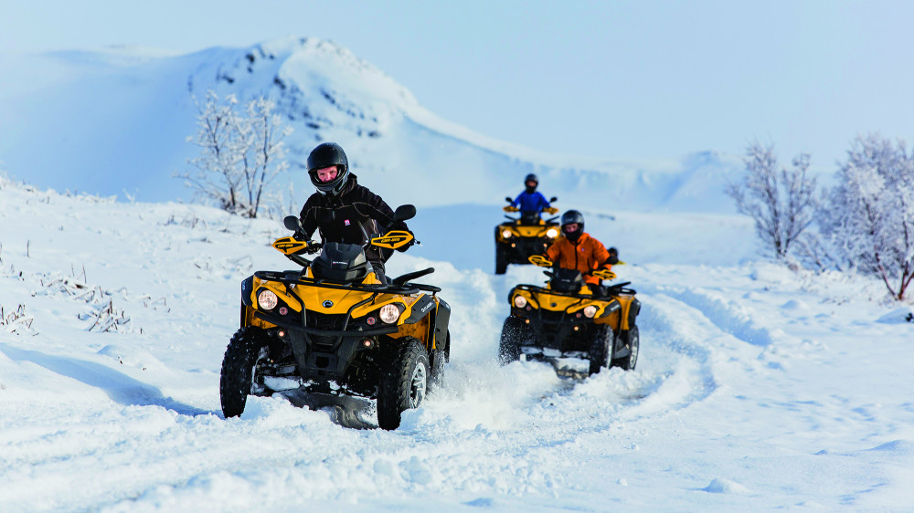 Safari Quads