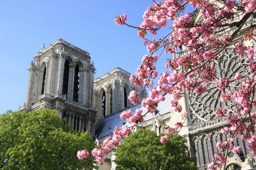 Paris Historic City Tour & Notre Dame