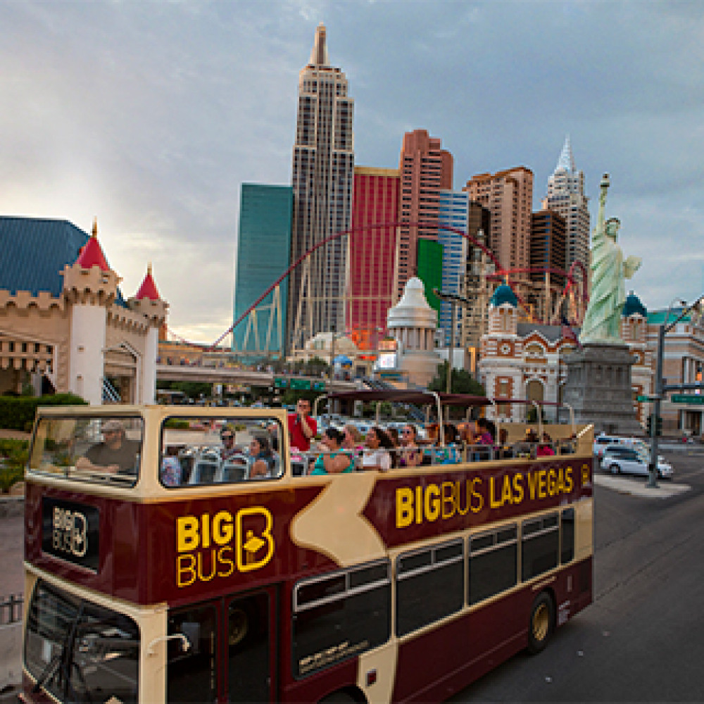 Big Bus Las Vegas - 3-Day Ticket, High Roller Wheel, & Choice of Night Tour